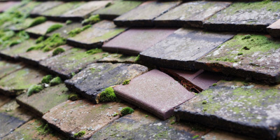 Stanton Drew roof repair costs